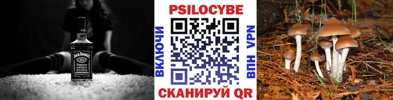 где продают   маркетплейс формула  Галлюциногенные грибы мицелий  Петровск-Забайкальский 
